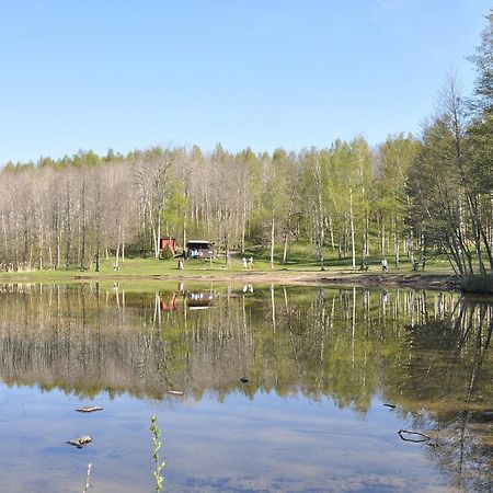 Furusjoens Cottage Ånimskog Kültér fotó