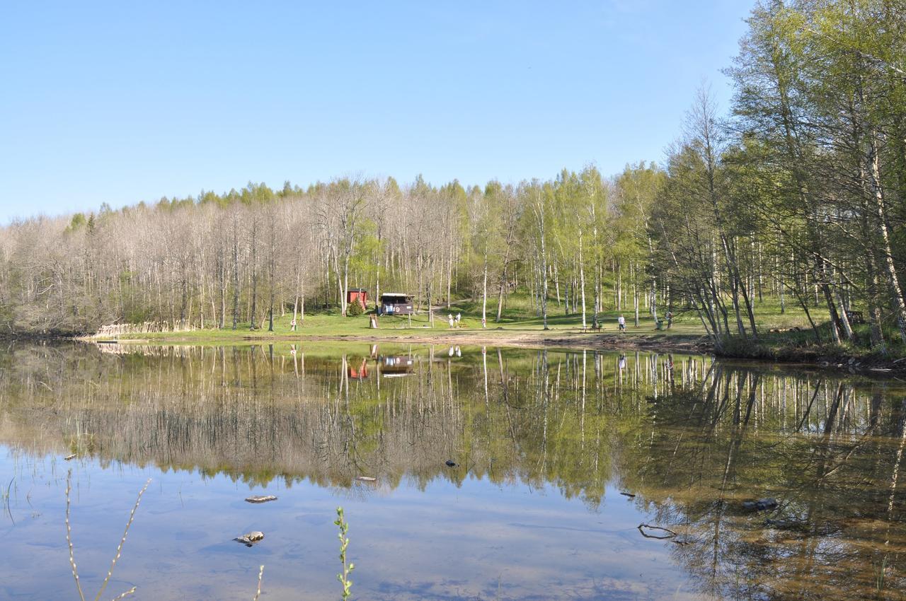 Furusjoens Cottage Ånimskog Kültér fotó